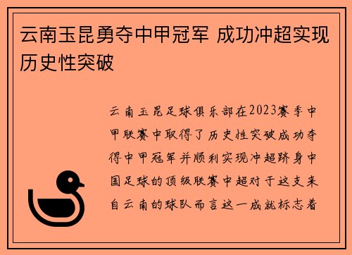云南玉昆勇夺中甲冠军 成功冲超实现历史性突破